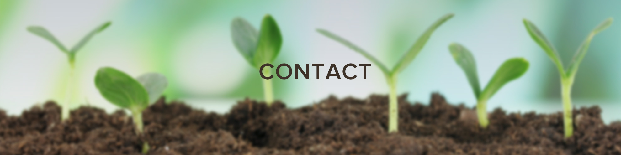 MLAB_banners_CONTACT.jpg