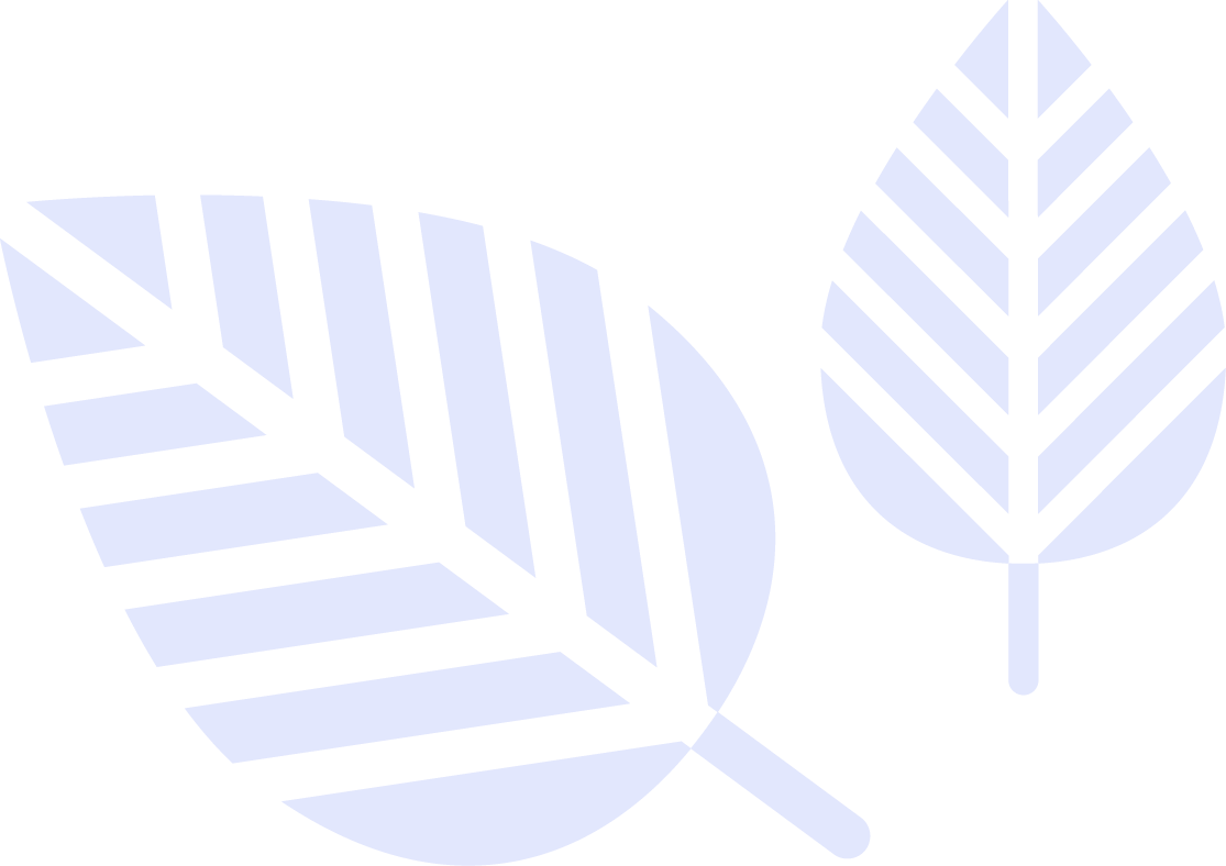 shape